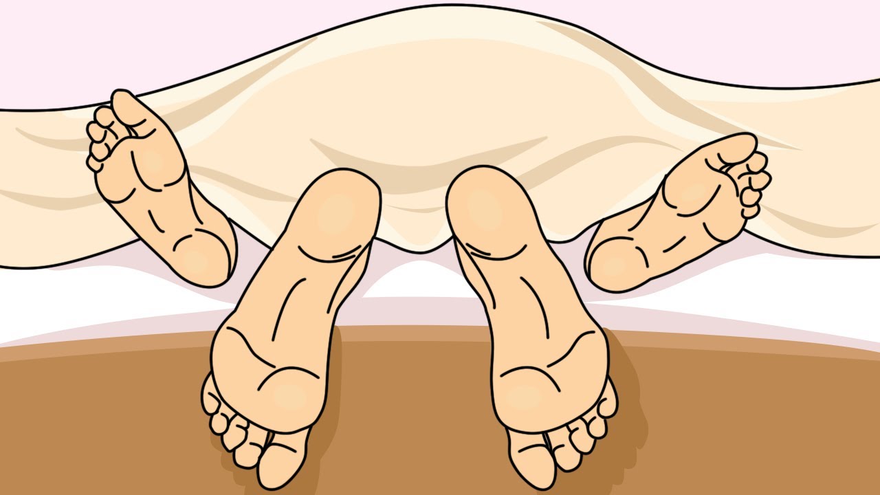 9 ciekawostek o Cimcirimci