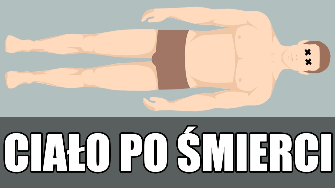 Co się dzieje z ciałem po śmierci?