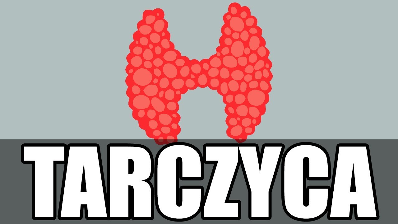 Jak działa tarczyca?