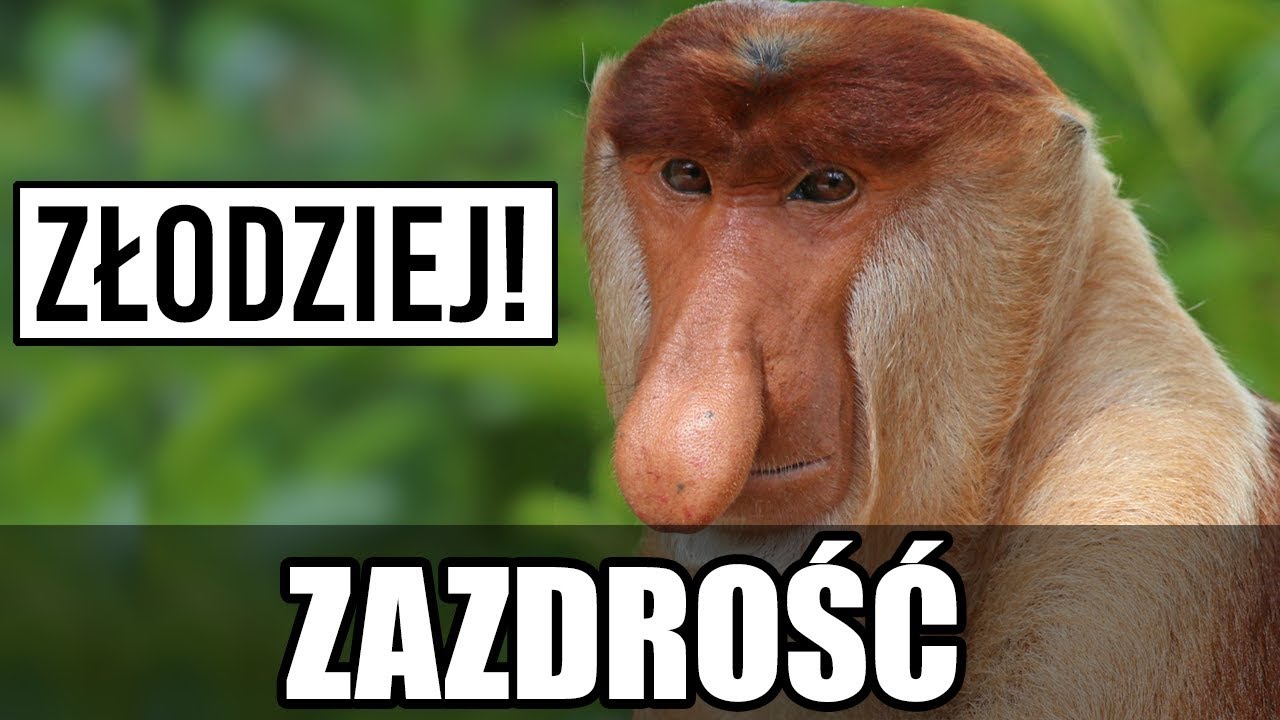Jak działa zazdrość?