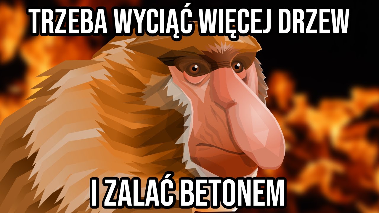 Jak Polskę zabija susza?