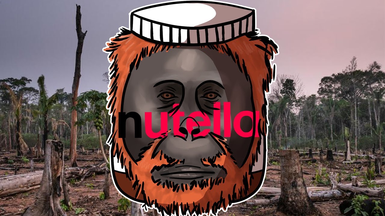 Nutella: Jak zabija Orangutany?