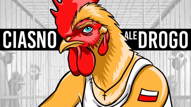 CHÓW KLATKOWY POLAKÓW 🐔🐔🐔