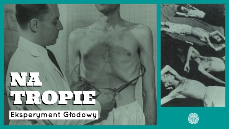 Eksperyment głodowy w Minnesocie Eksperyment głodowy w Minnesocie