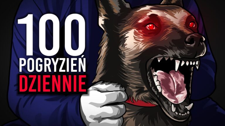 Epidemia pogryzień przez psy – czyja to wina?