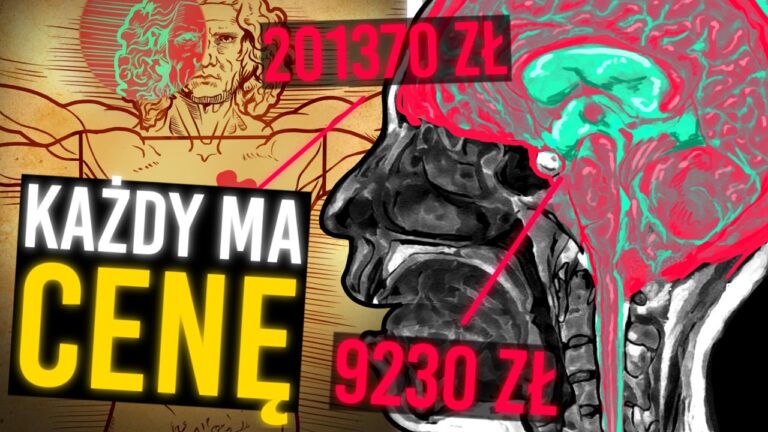 Handel organami – mroczna prawda o wartości ludzkiego ciała